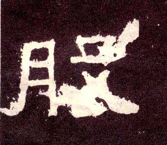 隶书 股
