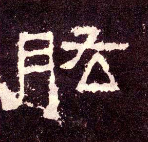 隶书 肱