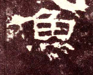 隶书 鱼