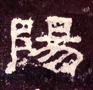 隶书 陽【阳】