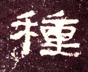 隶书 种【種】