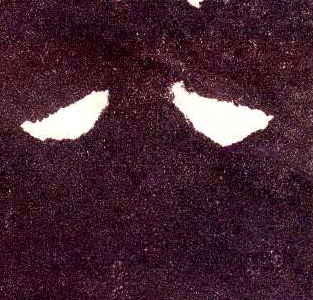 隶书 八