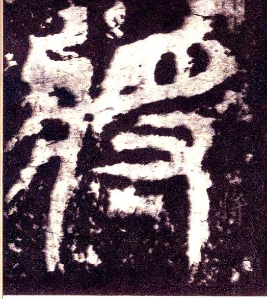 小篆 将【將】