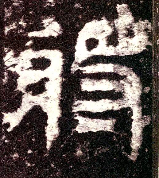 小篆 将【將】