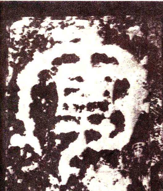 小篆 军
