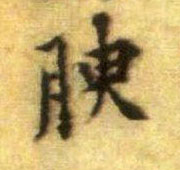 行书 腴
