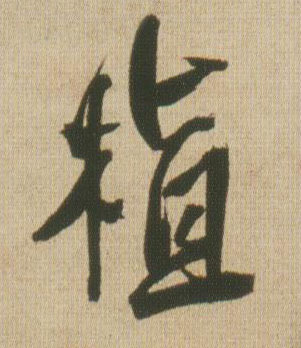行书 植