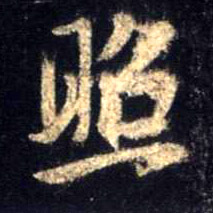 行书 照