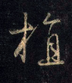 行书 植