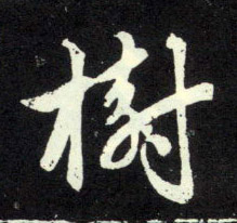 行书 树