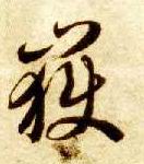 草书 岳