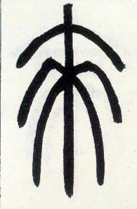 小篆 来