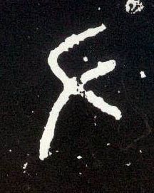 大篆 左