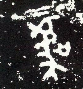 大篆 虞