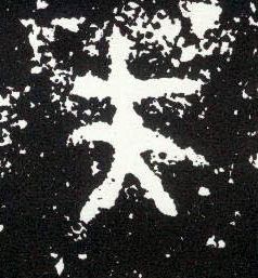 大篆 夫