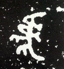 大篆 虎