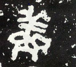 大篆 鲜