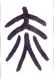 小篆 赤