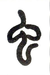 小篆 虫