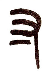 小篆 寸