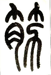 小篆 筋