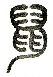 鼠是什么偏旁 shu.jpg