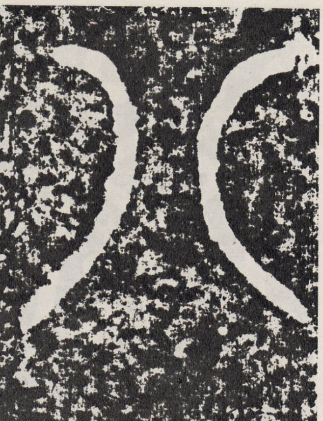 行书 八