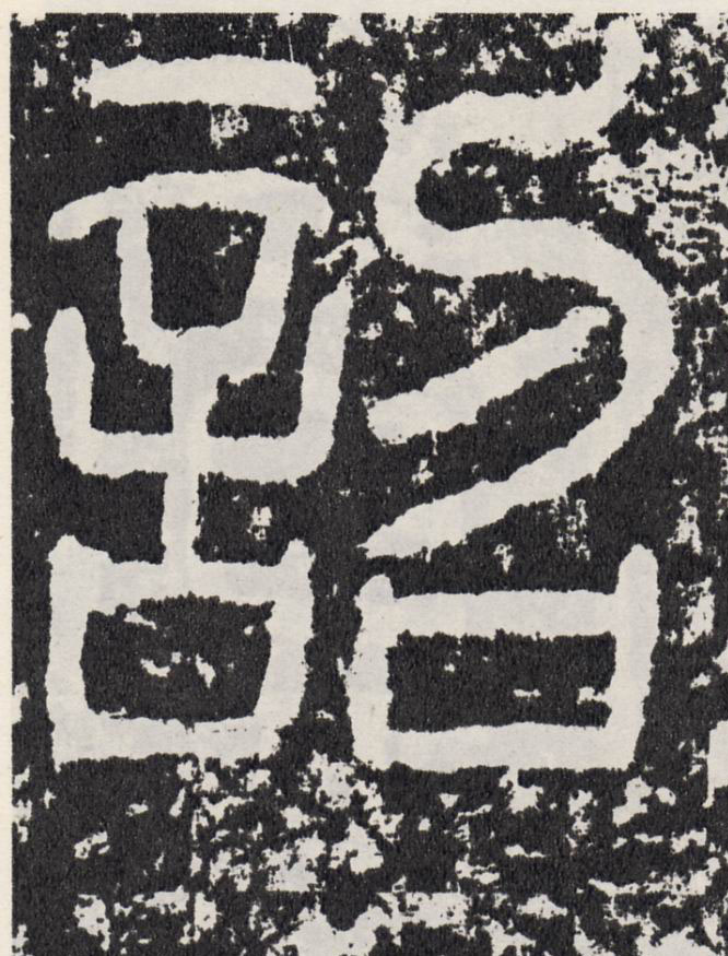 行书 诏【詔】