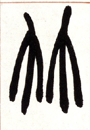小篆 竹